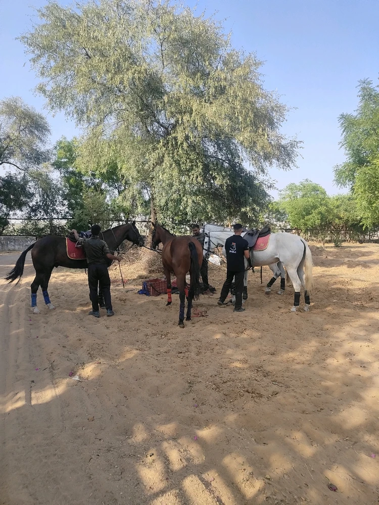 GIF uploaded by Pranshul Singh