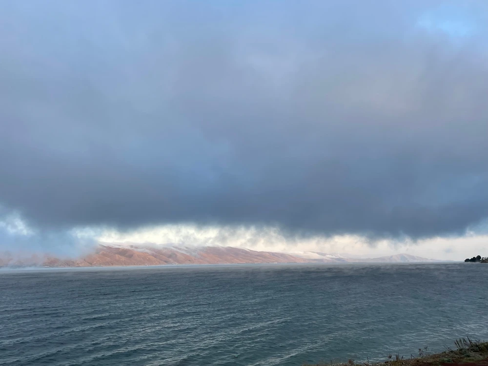 Image uploaded by Tar