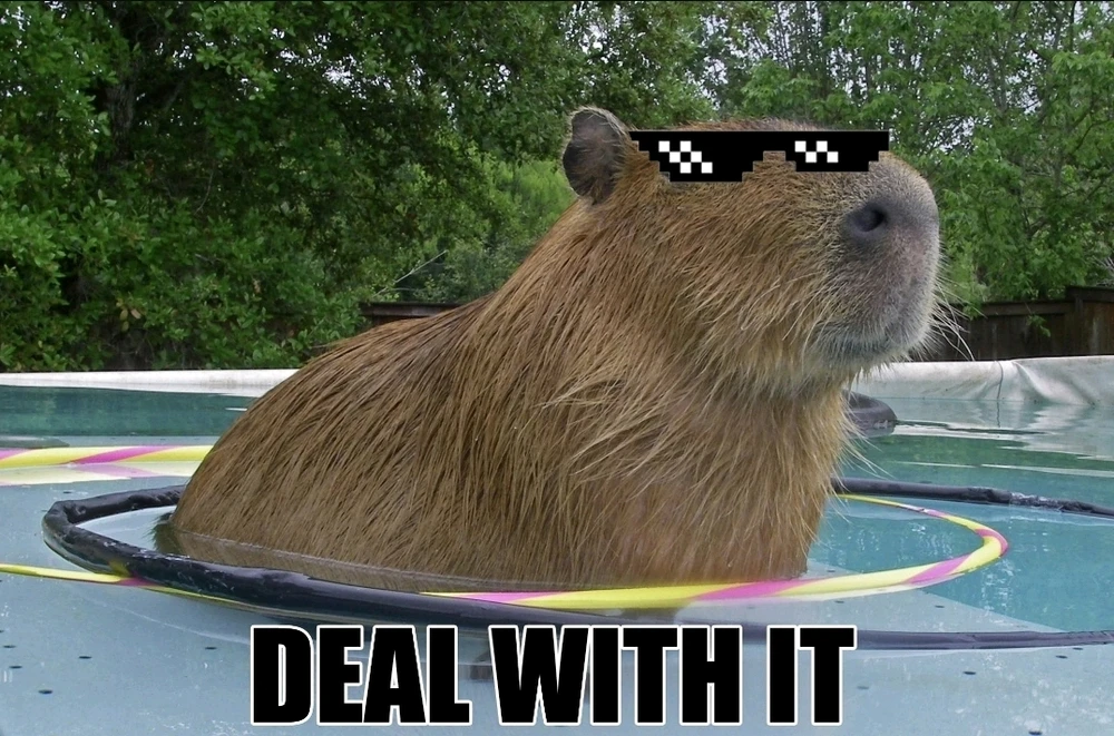 GIF dodany przez Pioter