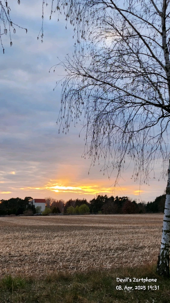 Bild hochgeladen von Devil