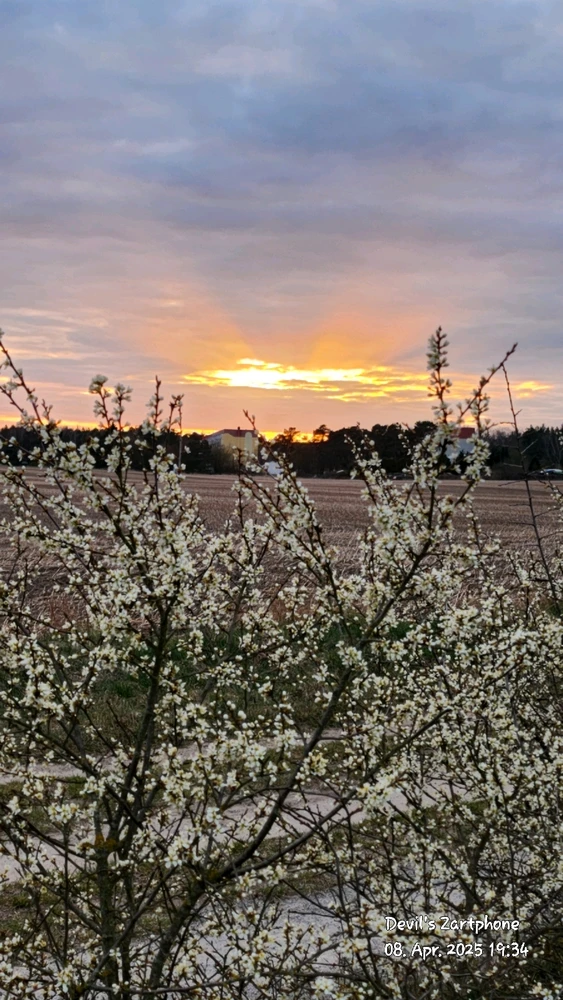 Bild hochgeladen von Devil