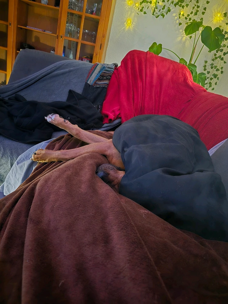 Bild hochgeladen von Benny