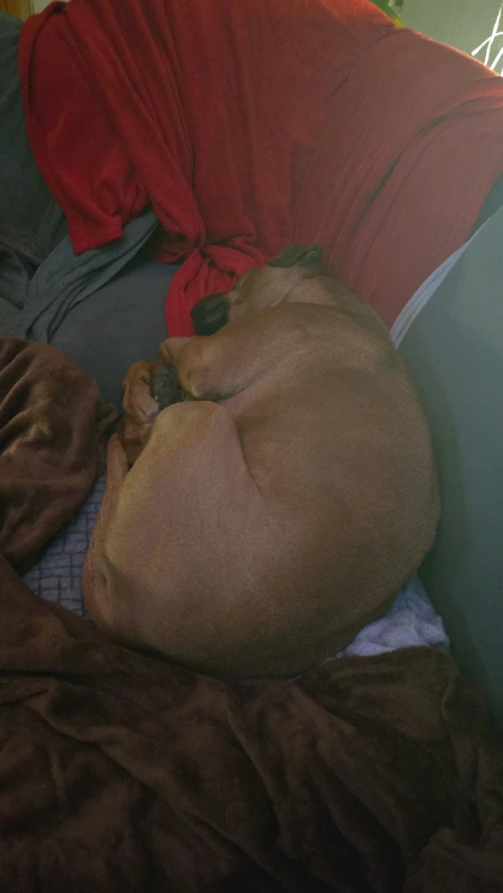 Bild hochgeladen von Benny