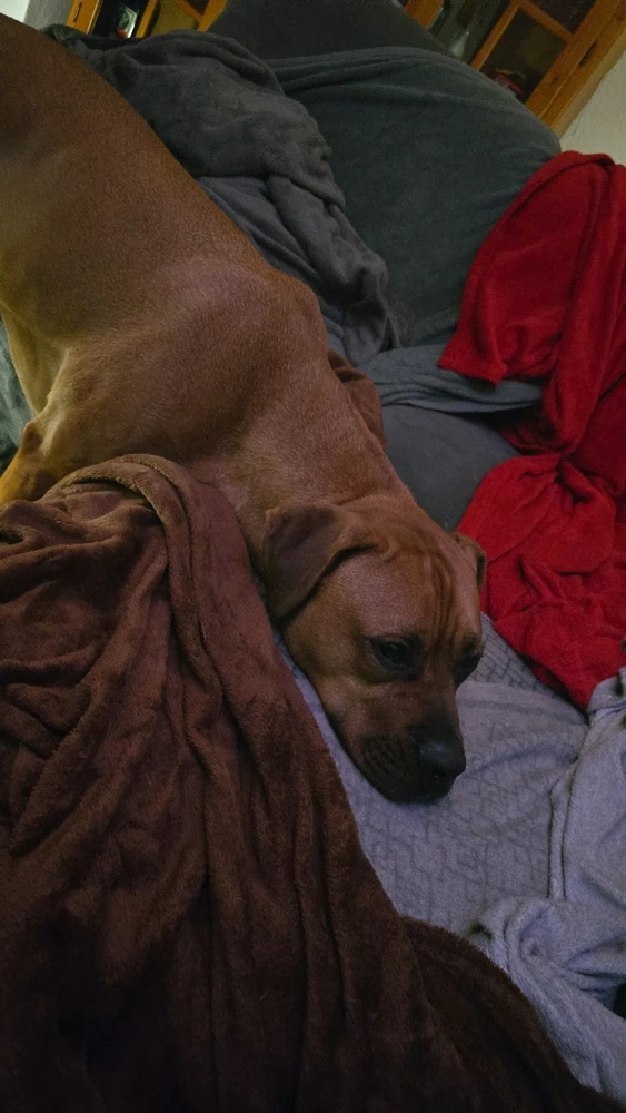 Bild hochgeladen von Benny