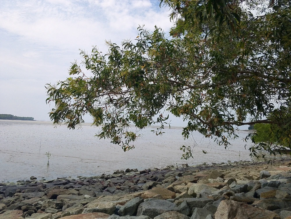 Tepi pantai~