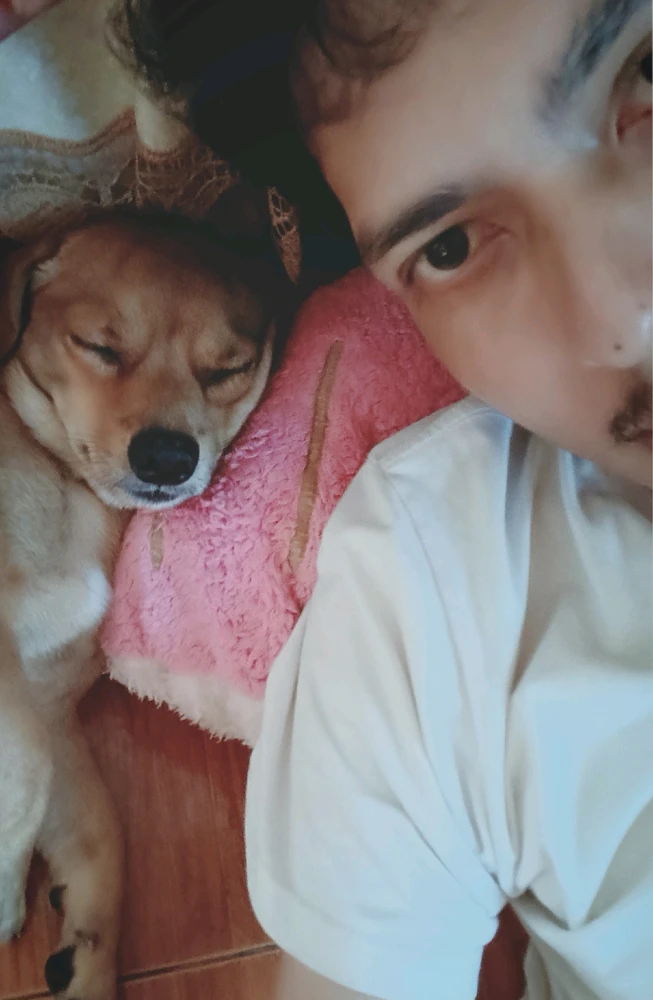 GIF อัปโหลดโดย Jakk