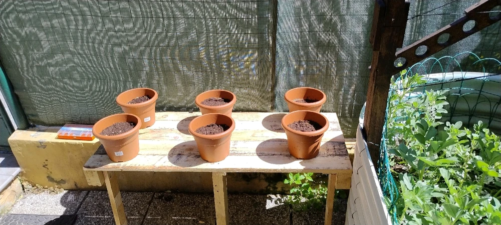 GIF uploaded by David