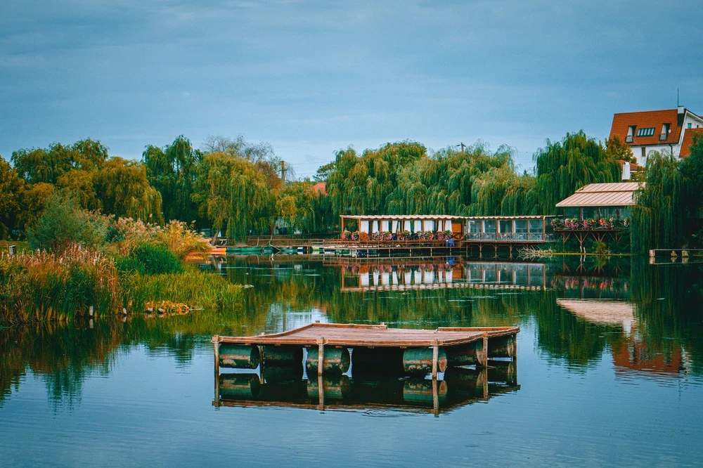 GIF încărcat de Daniel