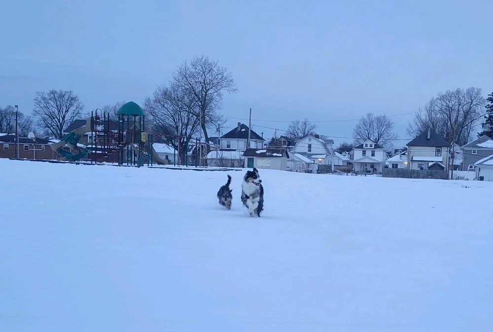 GIF uploaded by Jacklexis