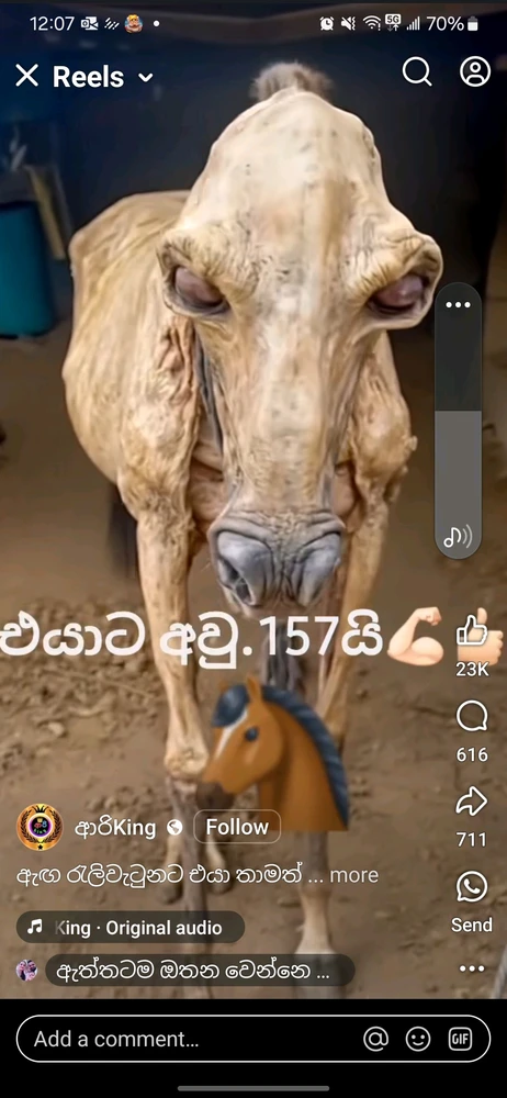 GIF uploaded by Kelcey