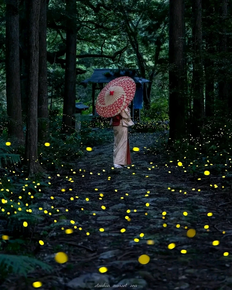 Image ajoutée par Stef