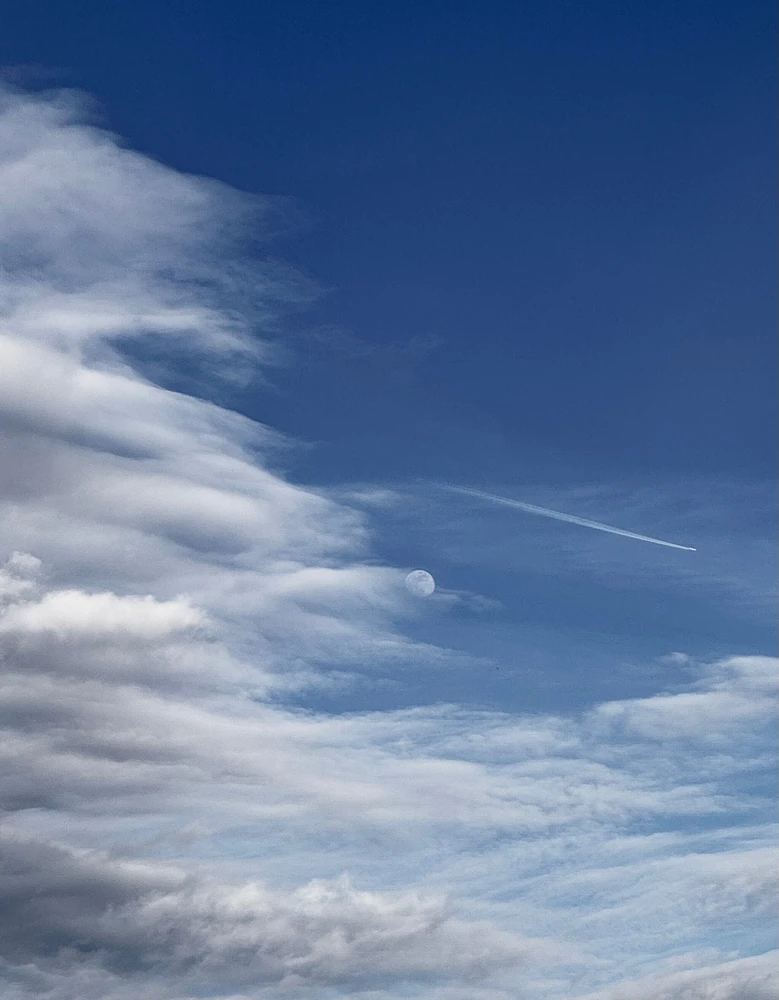 Obrázek nahrál Soni