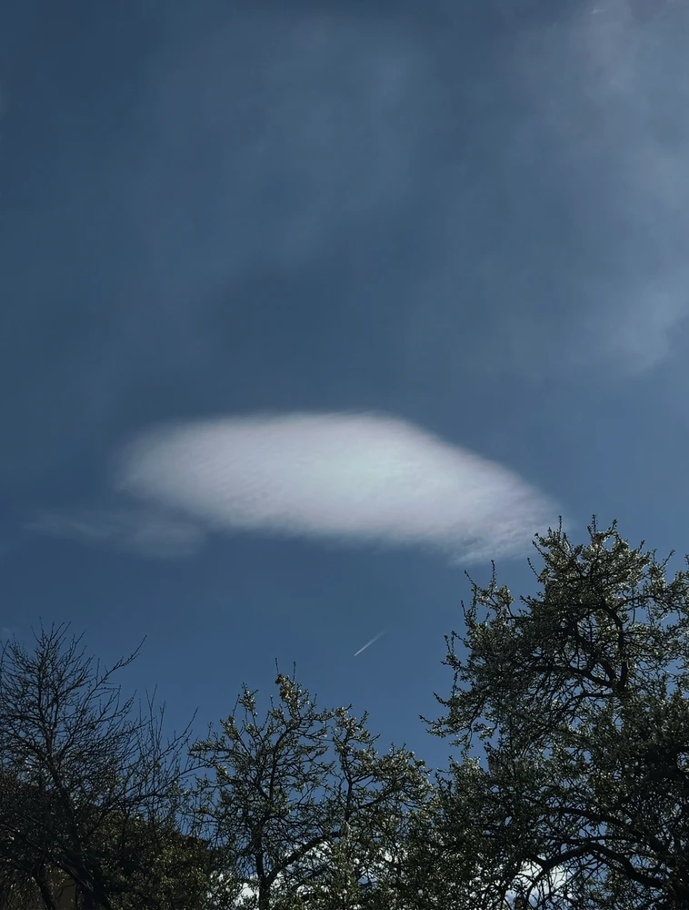 Obrázek nahrál Soni