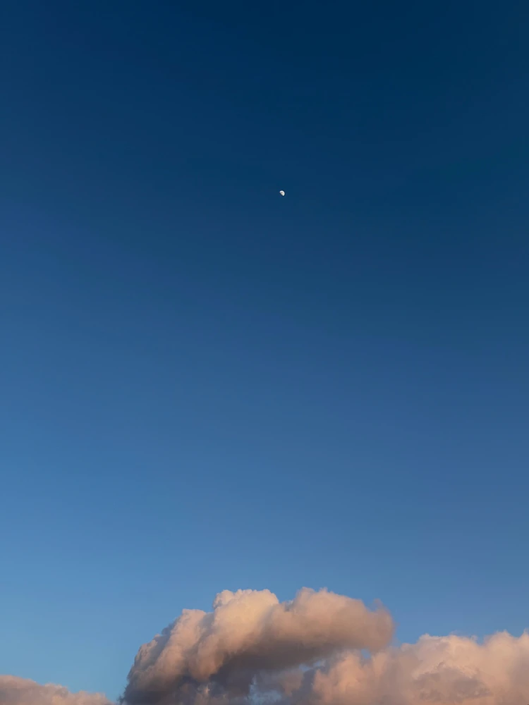 Obrázek nahrál Soni