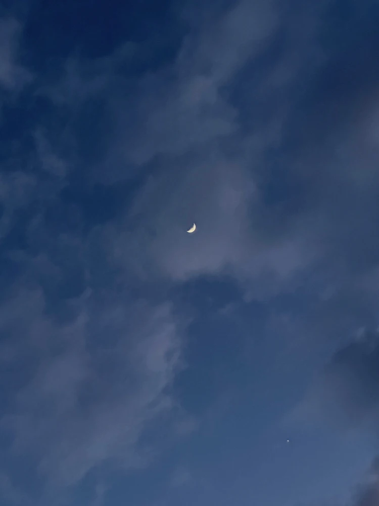 Obrázek nahrál Soni