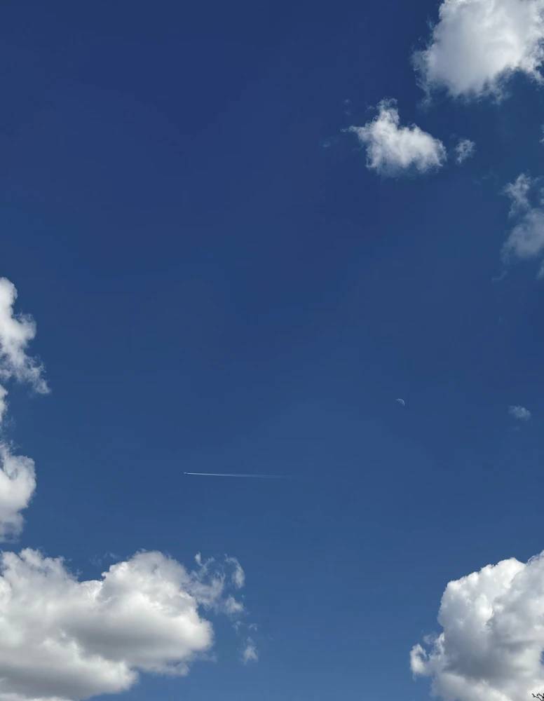 Obrázek nahrál Soni