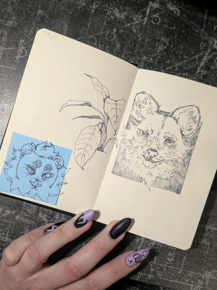 GIF uploaded by Sandra