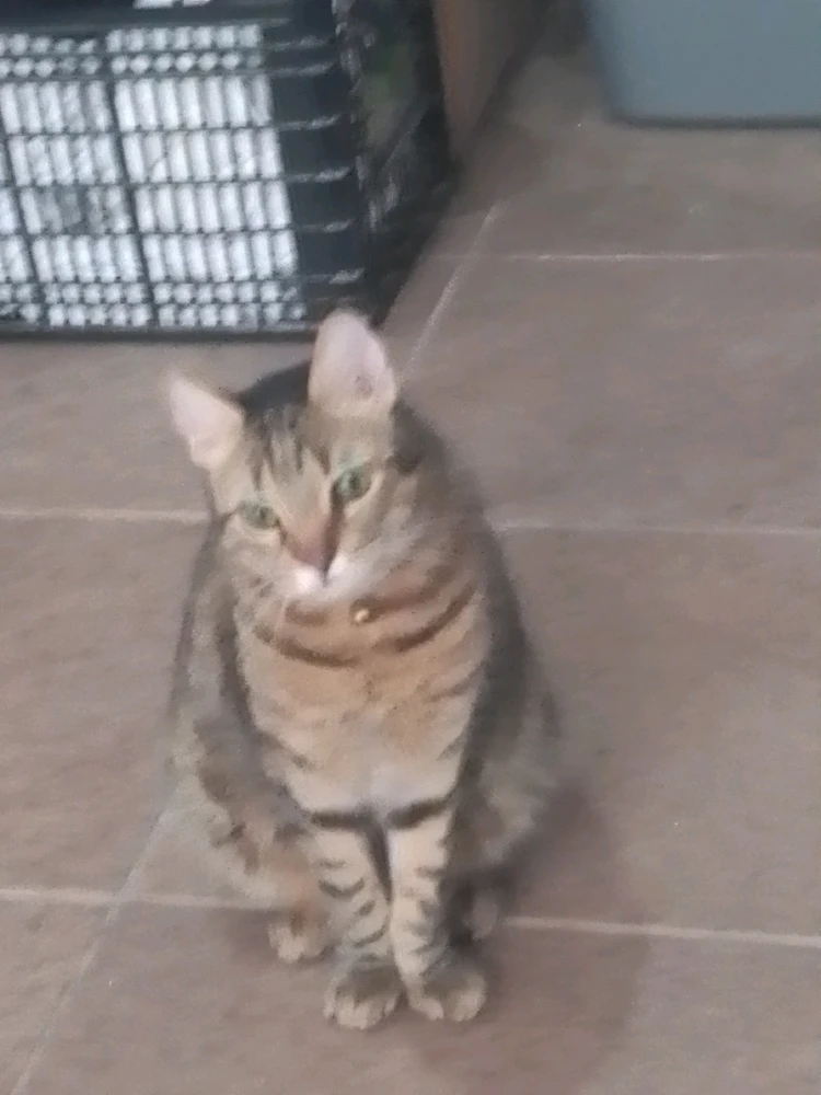 Imagen subida por Yahir Sias