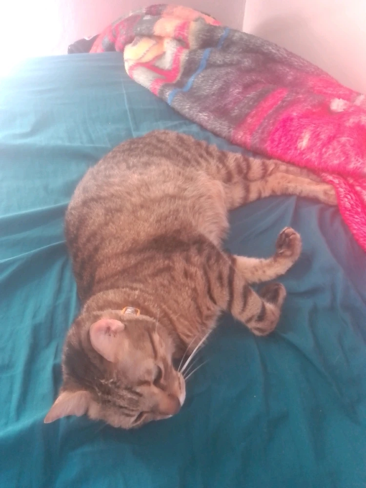 Imagen subida por Yahir Sias