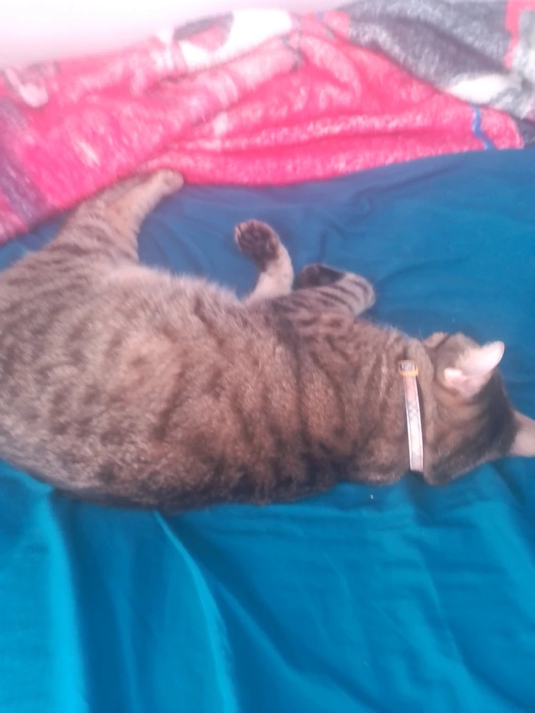 Imagen subida por Yahir Sias