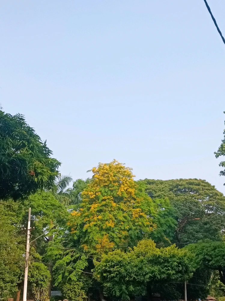 GIF uploaded by Myo