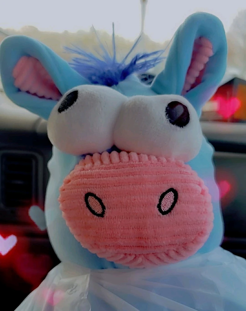 💙Newest Member💙