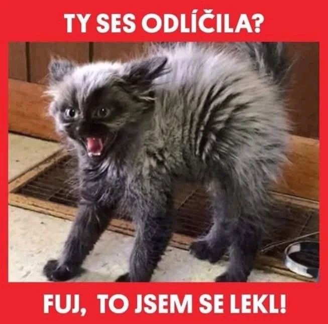 GIF nahrál Tomáš (Chlupčis)