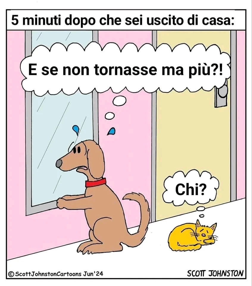 GIF caricata da Sara