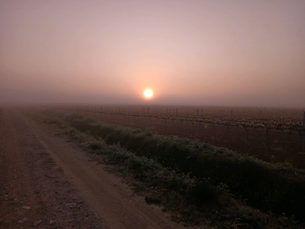 GIF ajouté par Rick