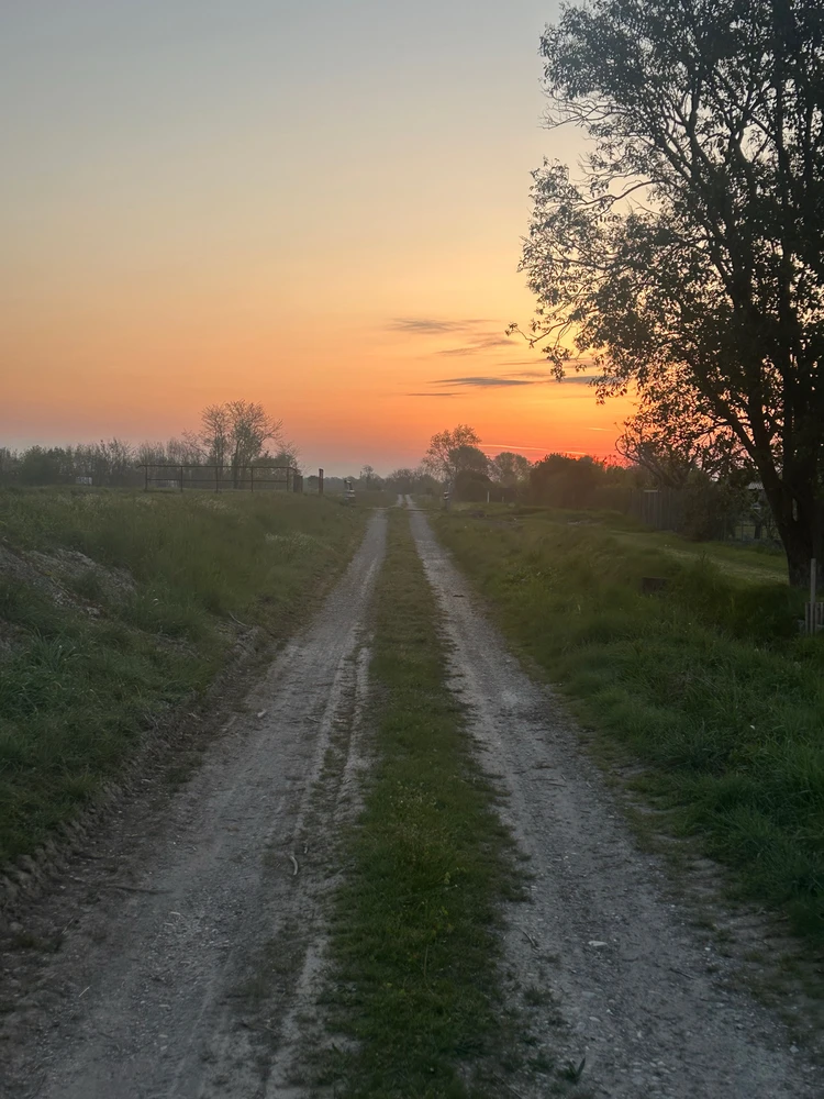 GIF enviado por Fabio