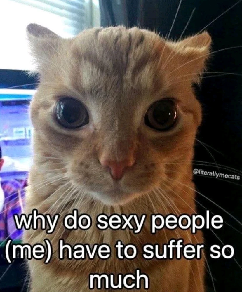 GIF uploaded by Dominic