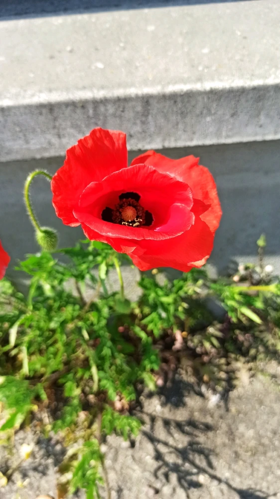 GIF caricata da Luisa