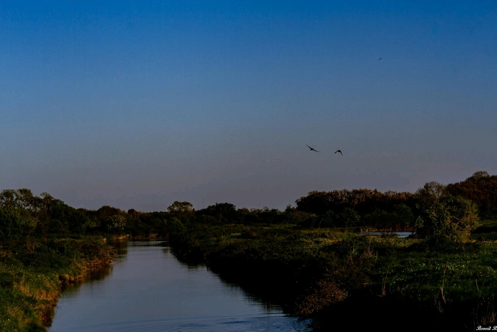 GIF ajouté par Benoît