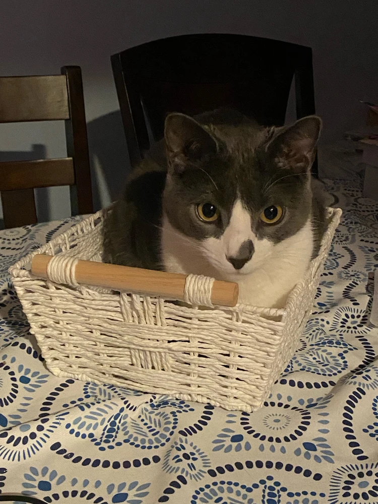 Image uploaded by Aidan