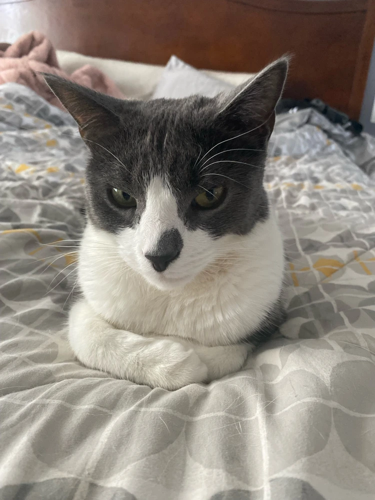 Image uploaded by Aidan