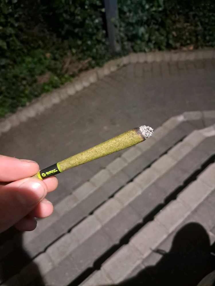 GIF hochgeladen von NoUsE4 AnAmE