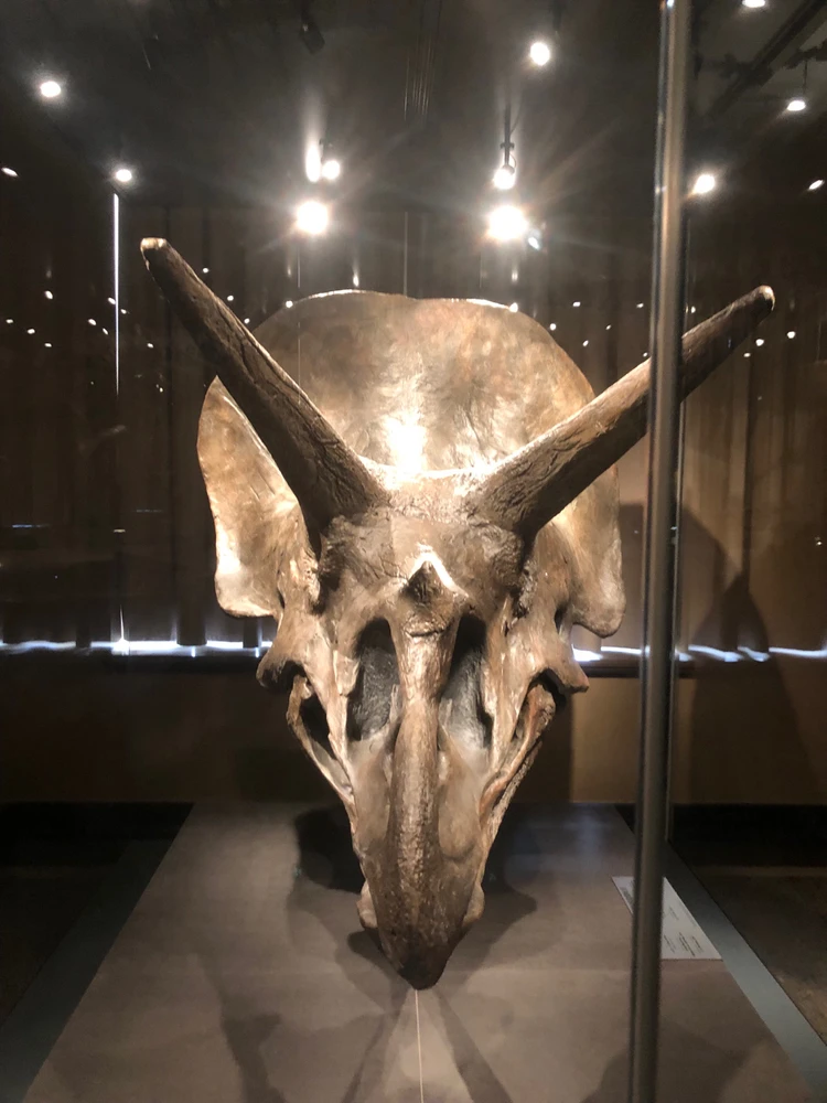 GIF uploaded by Natasha