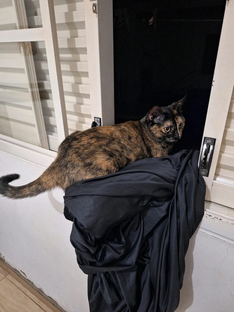 GIF enviado por Namárië