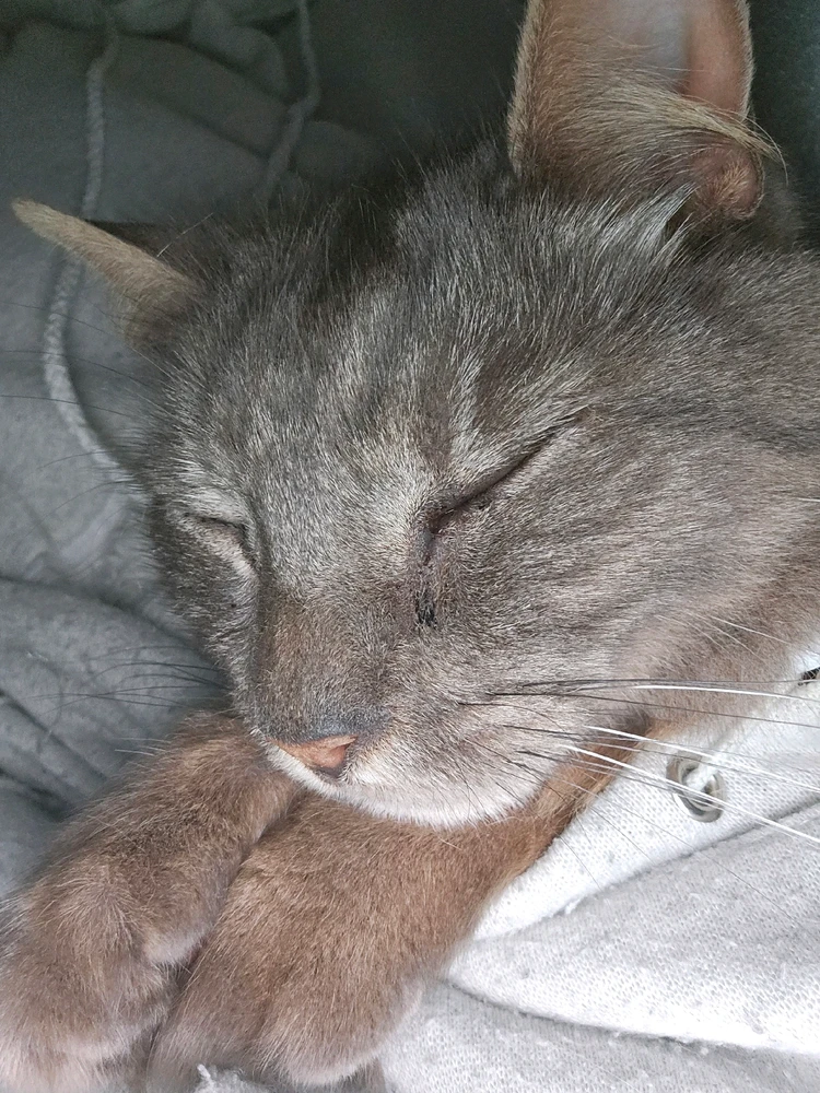 GIF uploaded by Sasha