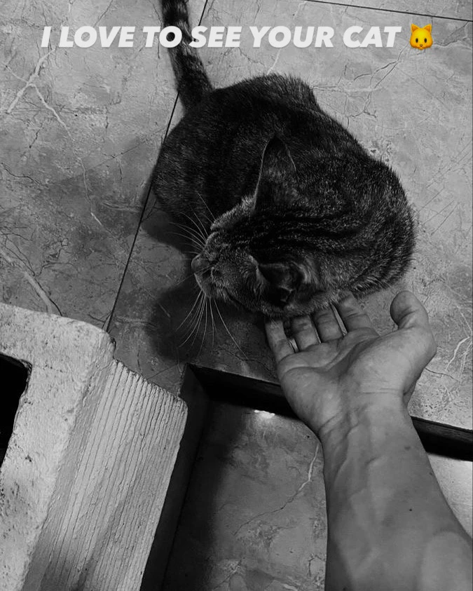 GIF uploaded by Laksh karki