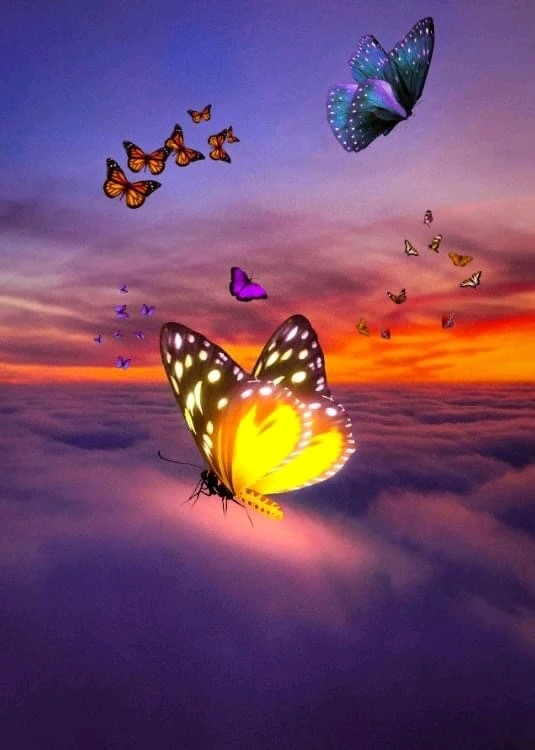 Image ajoutée par Aline