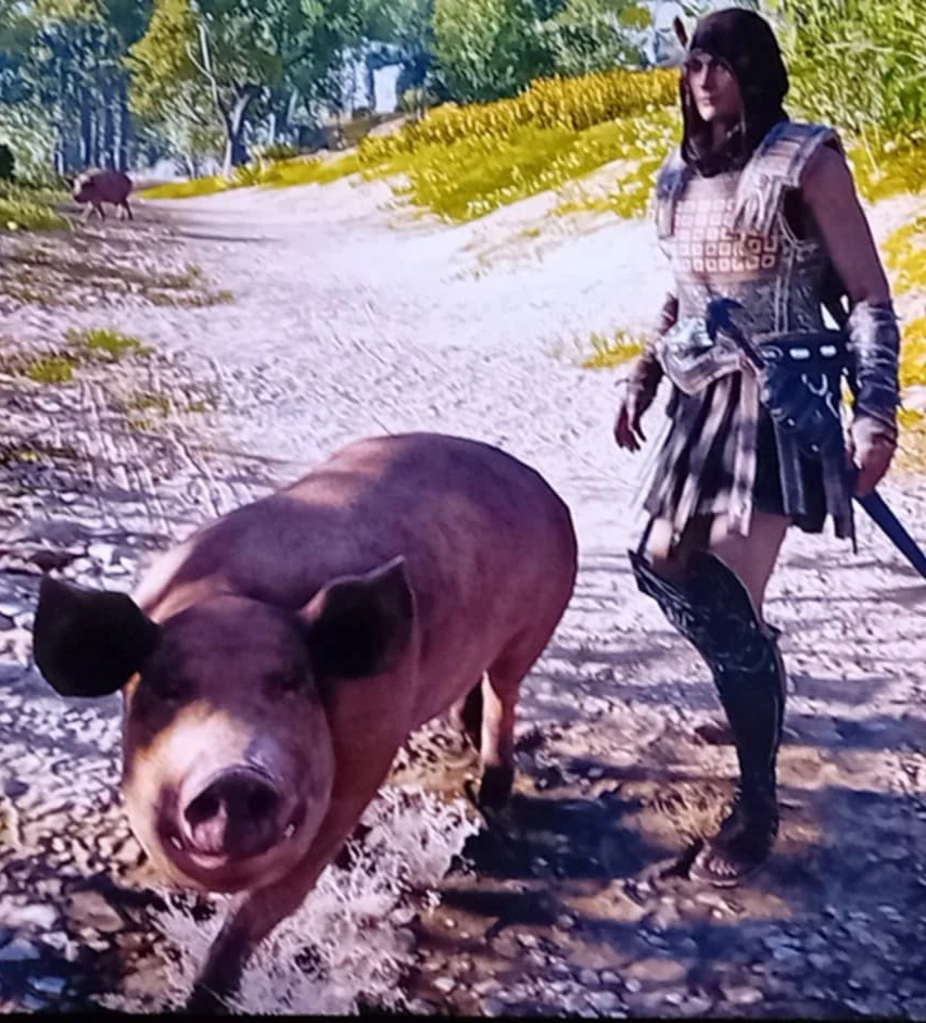 GIF ajouté par Stephe