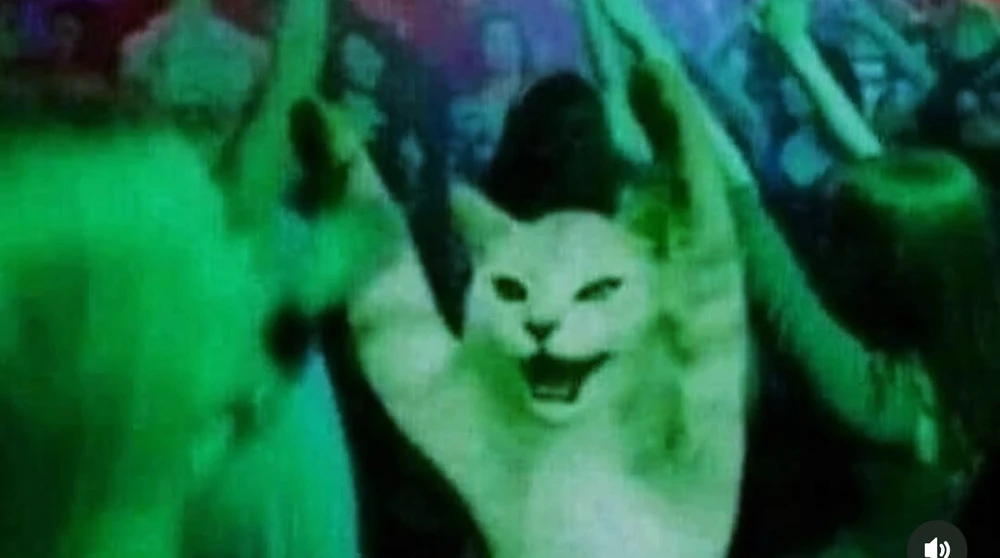 GIF uploaded by Himanshu