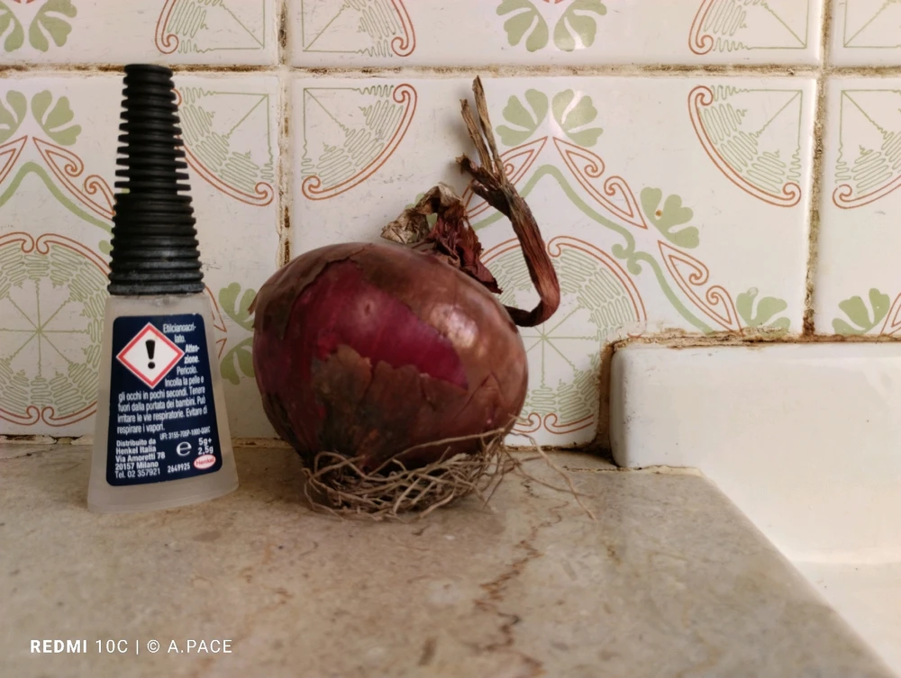 Immagine caricata da Alessandro | alpacigno