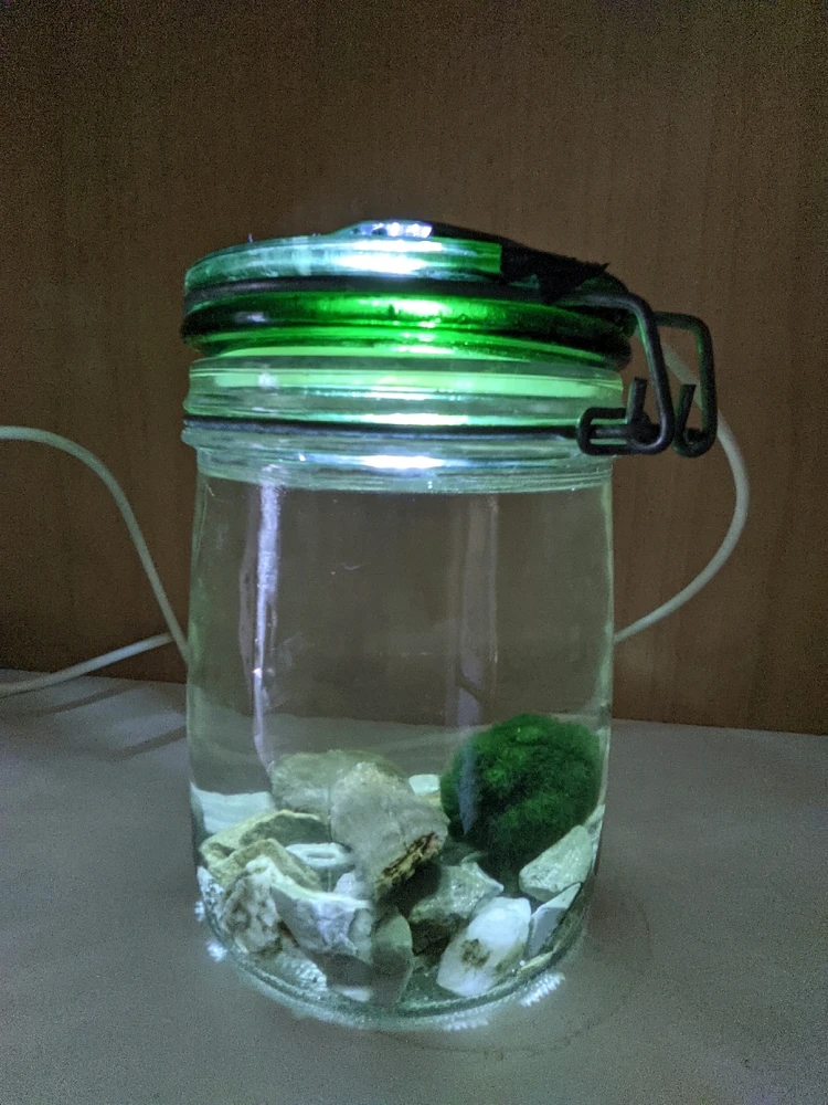 GIF caricata da Giuseppe