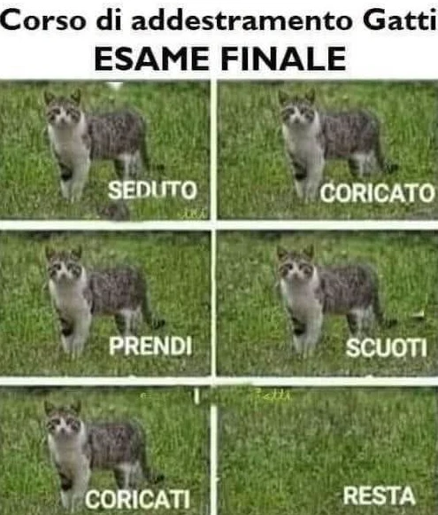 Immagine caricata da Mirko