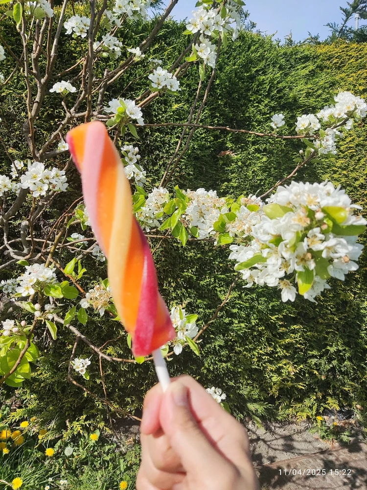 GIF uploaded by Grace