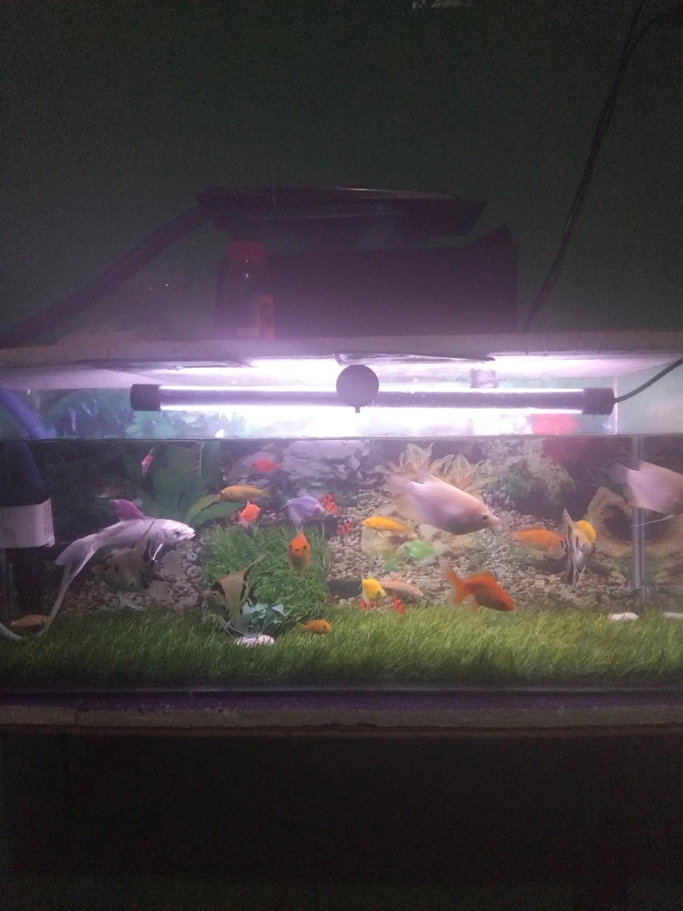 GIF diunggah oleh Nur Qholiks