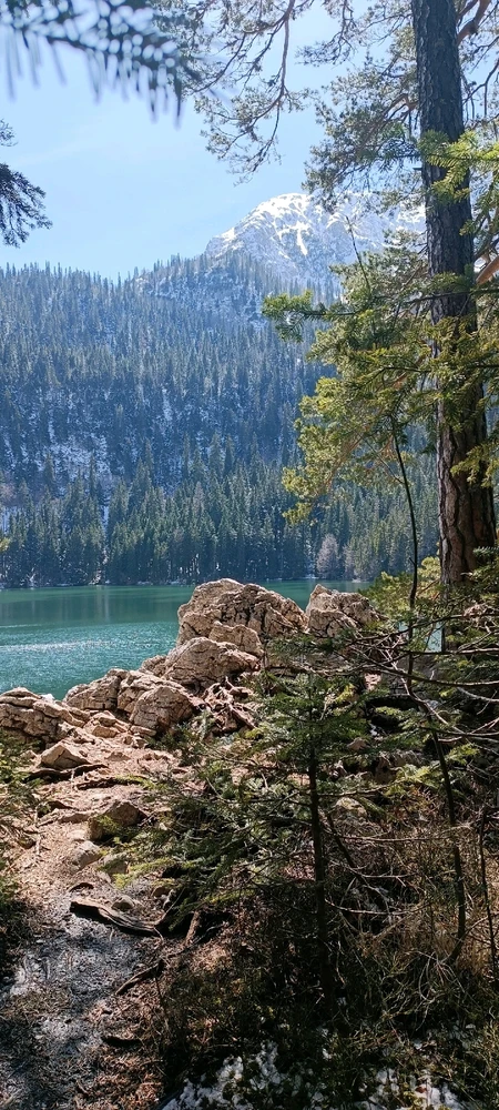 Image uploaded by Nikita