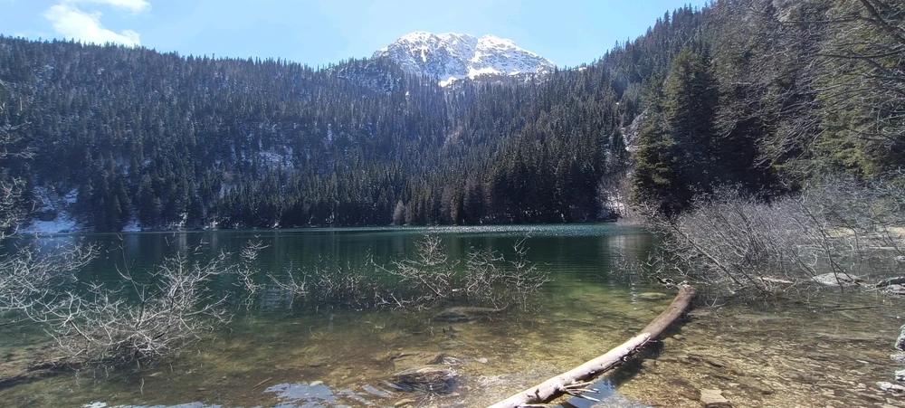 Image uploaded by Nikita